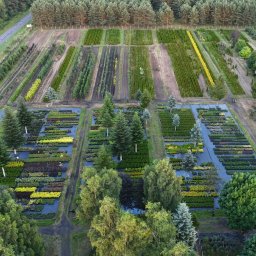 Zakładanie ogrodów Kołdrąb 2