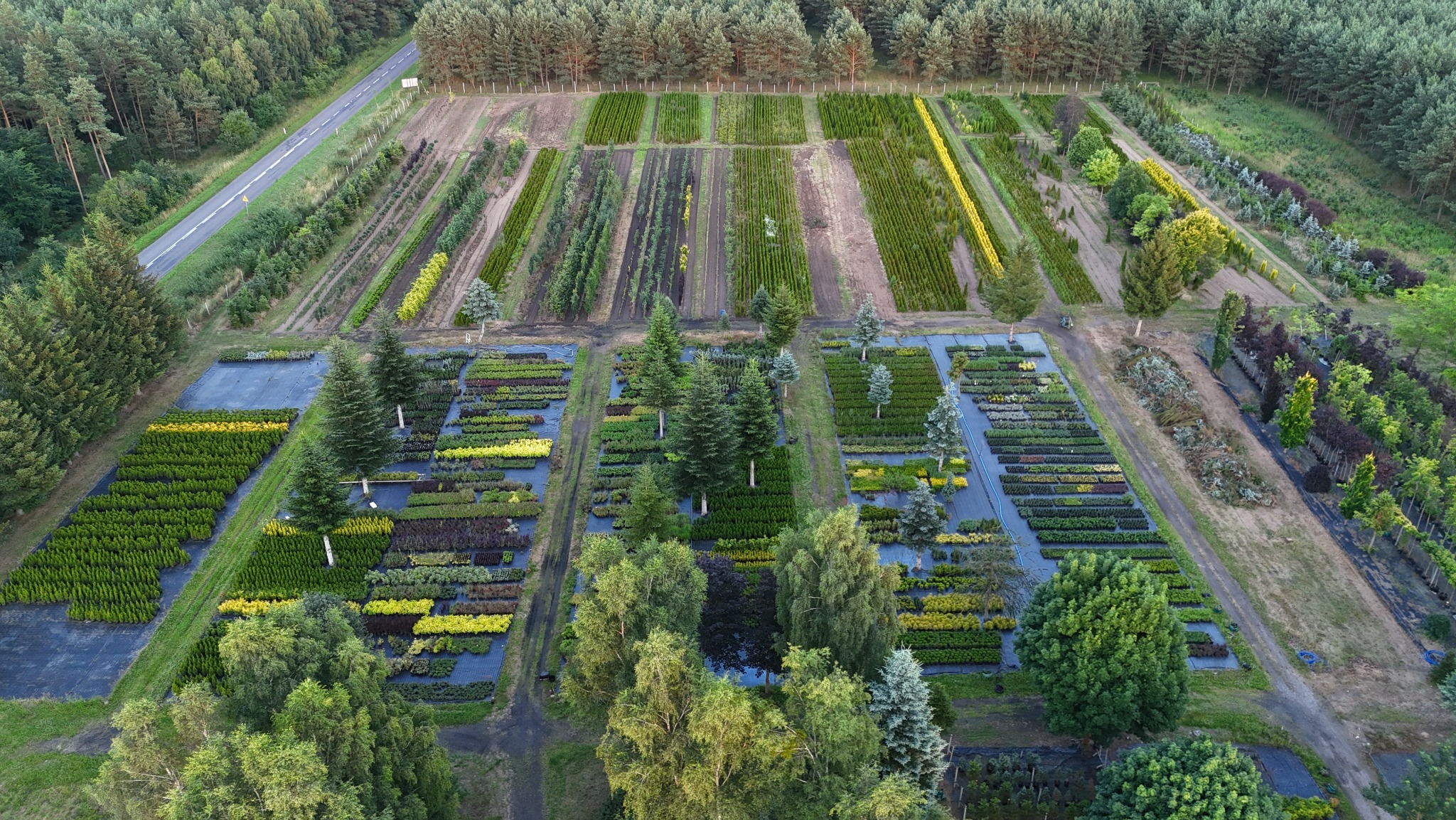 Szeroki widok z lotu ptaka na szkółkę drzew i krzewów ozdobnych, podzieloną na regularne kwatery z różnorodną roślinnością. Widoczna droga i otaczający las.