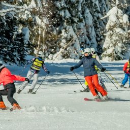 Stowarzyszenie Aktywnego Wypoczynku 
