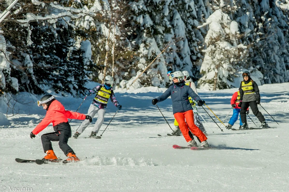 Grupa osób na nartach, w tym dzieci z numerami startowymi, zalesione zbocze w tle, słoneczny dzień. Aktywny wypoczynek zimowy, nauka jazdy na nartach.