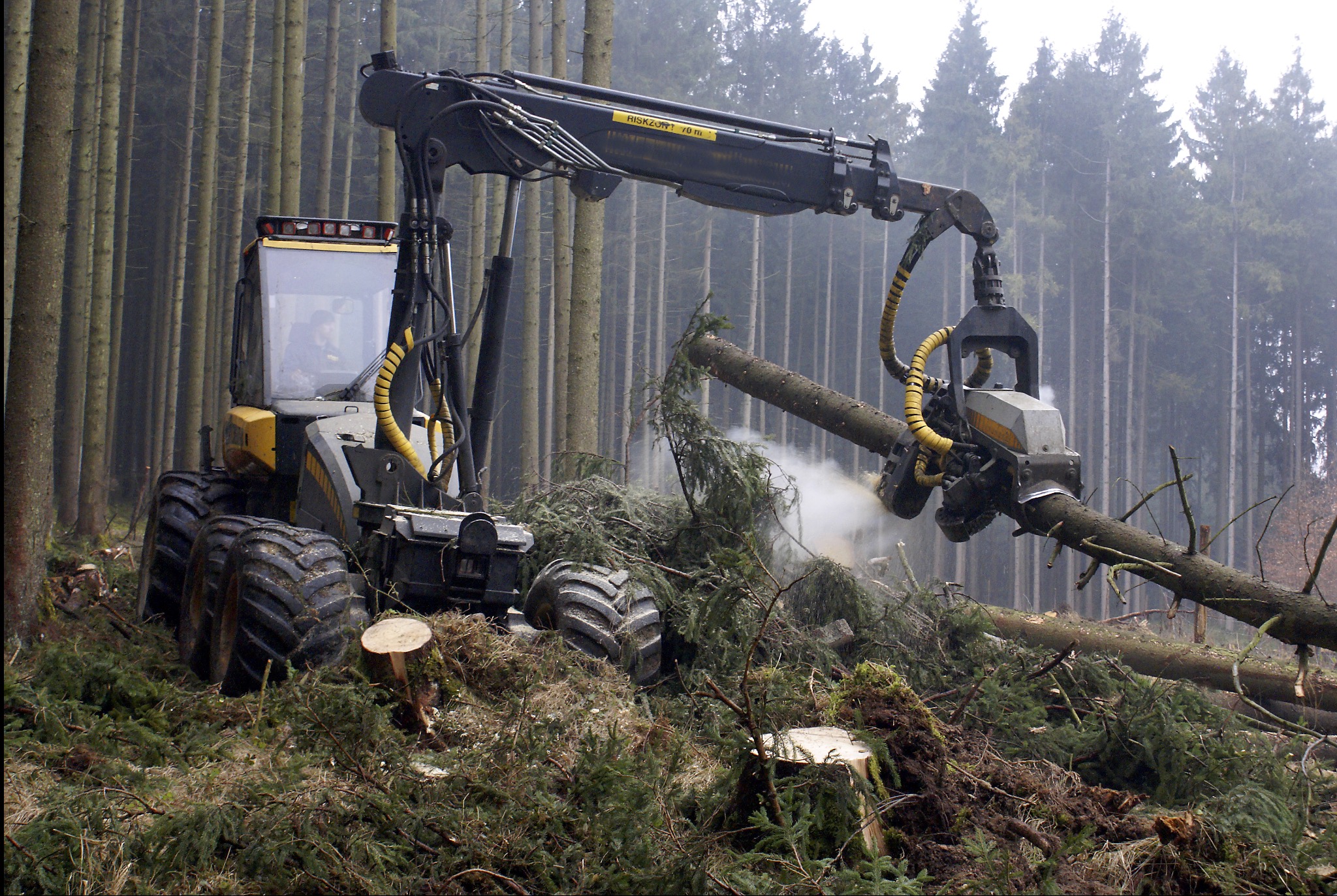 Ciężki, czarno-żółty harwester w trakcie ścinania drzewa w zalesionym terenie. W tle widoczne wysokie drzewa i mgła. Maszyna z wysięgnikiem i chwytakiem tnie pień.