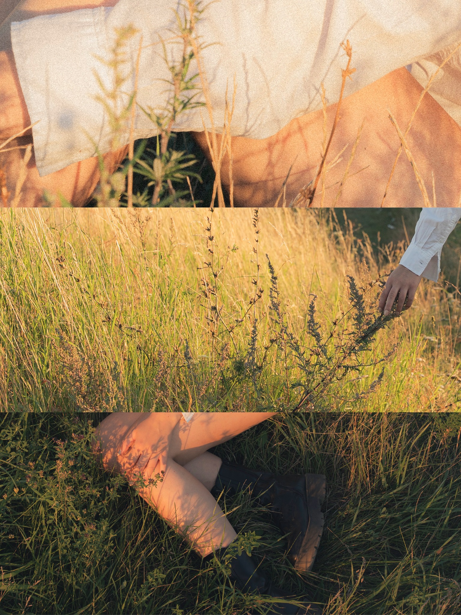 Kolaż z sesji w trawie: fragment białej koszuli, dłoń dotykająca źdźbeł, nogi w butach w trawie, ciepłe światło zachodzącego słońca, naturalna sceneria.