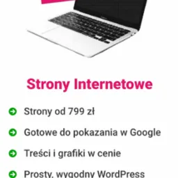 Grafika reklamowa: laptop w perspektywie z różowymi akcentami, tekst 'Strony Internetowe', oferta od 799 zł, optymalizacja Google, WordPress, responsywność.