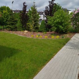 Zakładanie ogrodów Mława 3