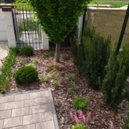 Nowo założony ogród z drzewami, krzewami i rabatami kwiatowymi, wyściółkowany korą, z widocznym fragmentem chodnika z kostki brukowej i ogrodzeniem.