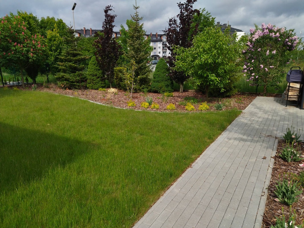 Zadbany ogród z równo przystrzyżonym trawnikiem, ozdobnymi drzewami i krzewami, wykończony korą i brukowanym chodnikiem. W tle widoczny budynek mieszkalny.