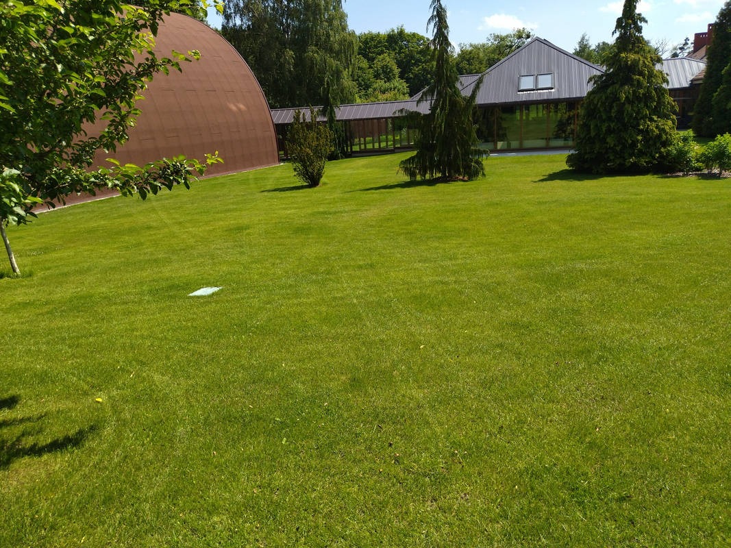 Zadbany trawnik z niską trawą i pojedynczymi drzewami iglastymi. W tle budynek z przeszklonym łącznikiem. Słoneczny dzień.