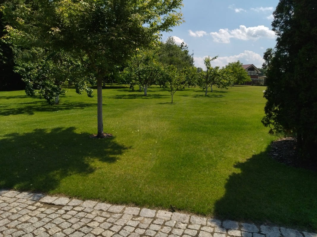 Rozległy, zielony trawnik z młodymi drzewkami owocowymi, widziany z perspektywy kamiennej ścieżki. W tle dom z elementami muru pruskiego.