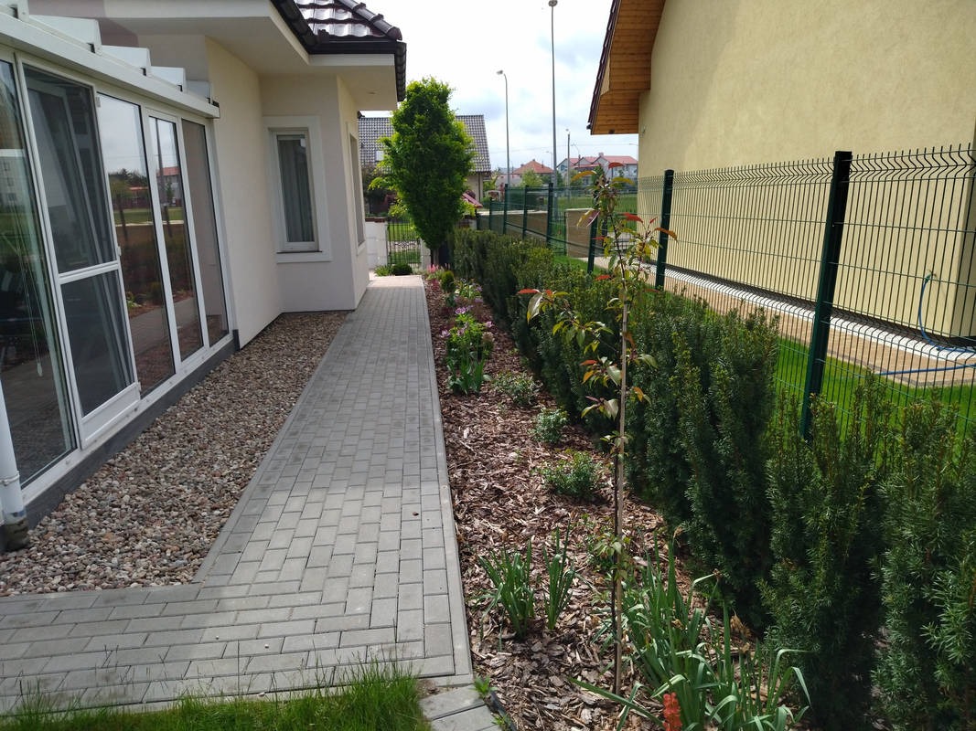 Ogród po realizacji: ścieżka z kostki brukowej, rabaty z krzewami i kwiatami, trawnik, ogrodzenie panelowe. Widok z perspektywy.
