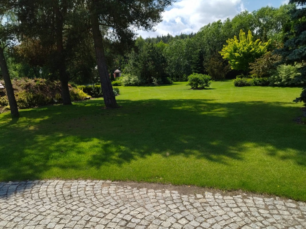Rozległy, zadbany trawnik z drzewami i ozdobnymi krzewami w tle, widok z perspektywy kamiennej ścieżki. Cień drzew na trawie, słoneczny dzień.