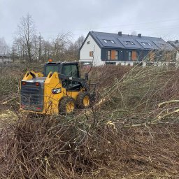 Wycinka drzew Warszawa 3