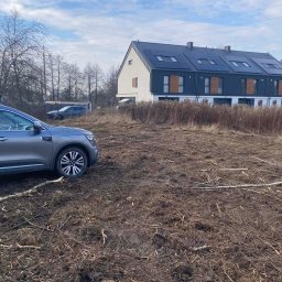 Wycinka drzew Warszawa 4