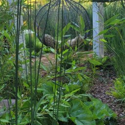 Zakładanie ogrodów Mrągowo 4