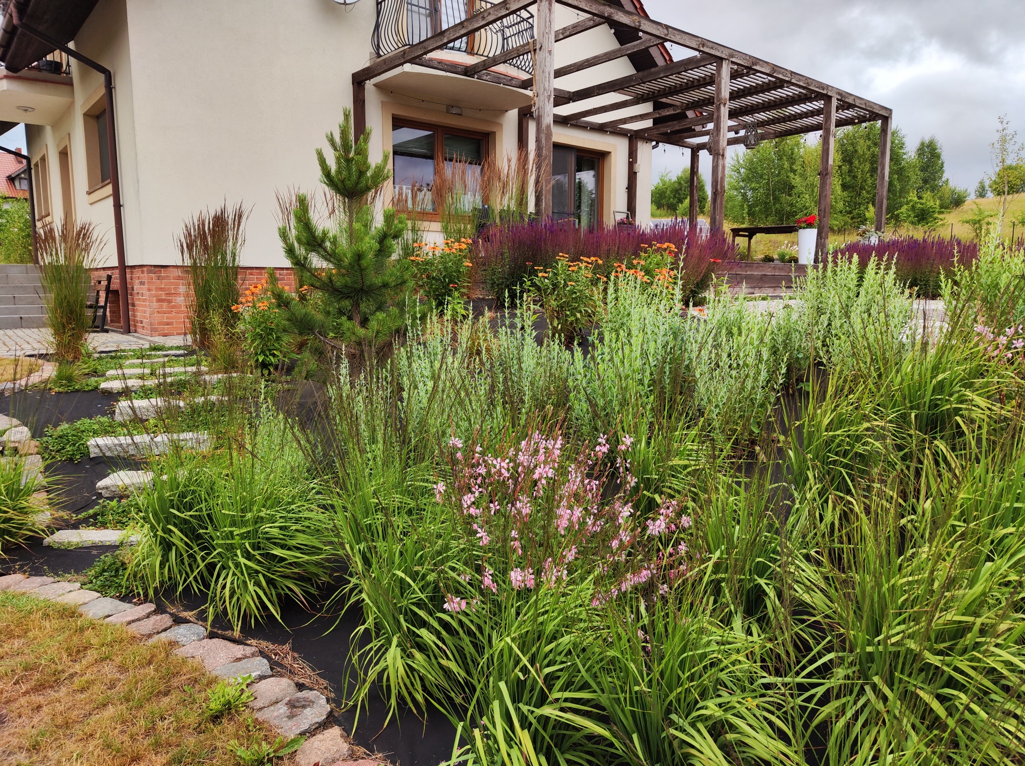 Ogród przy domu z kamienną ścieżką i pergolą. Różnorodna roślinność: trawy ozdobne, byliny kwitnące, mała sosna. Tło: budynek z balkonem i drzewa.