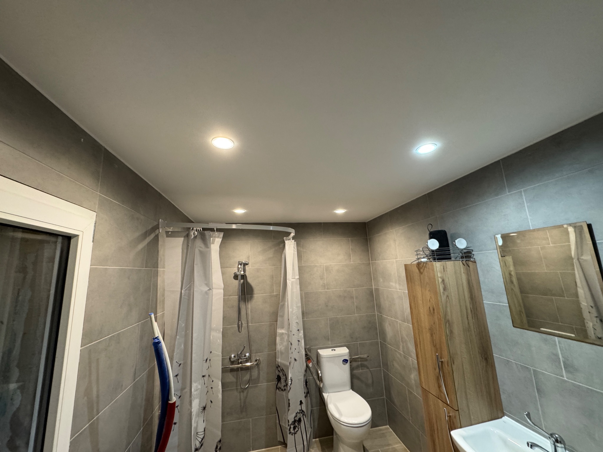 Wykończona łazienka z szarymi płytkami, kabiną prysznicową z zasłoną w motywy dmuchawców, toaletą i szafką z lustrem. Oświetlenie punktowe.