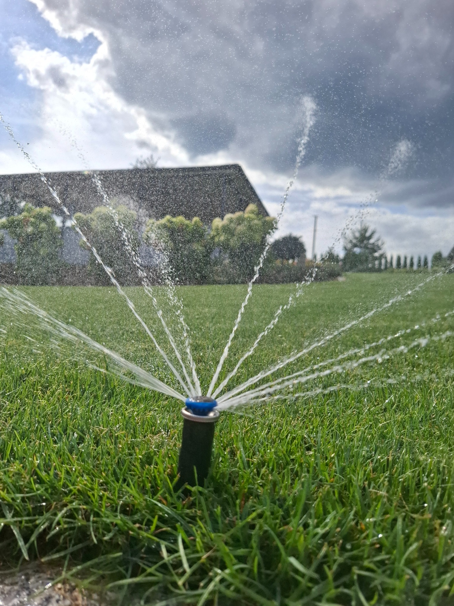Działający zraszacz trawnikowy na tle domu i pochmurnego nieba. Woda rozpryskuje się promieniście, nawadniając trawnik.