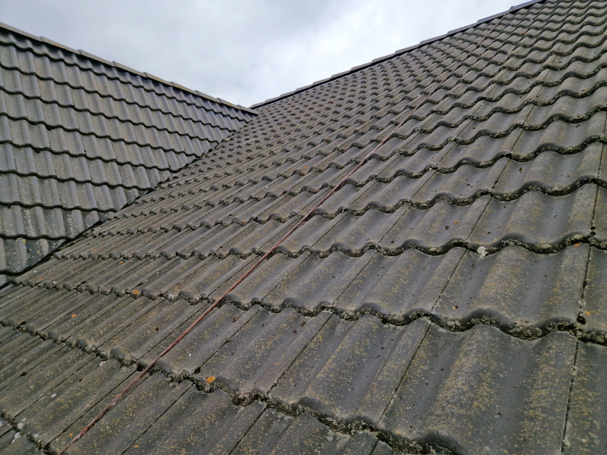 Ciemnoszara dachówka bitumiczna pokryta mchem i porostami, widoczna z bliska pod kątem, szara lina zabezpieczająca przeciągnięta wzdłuż dachu.