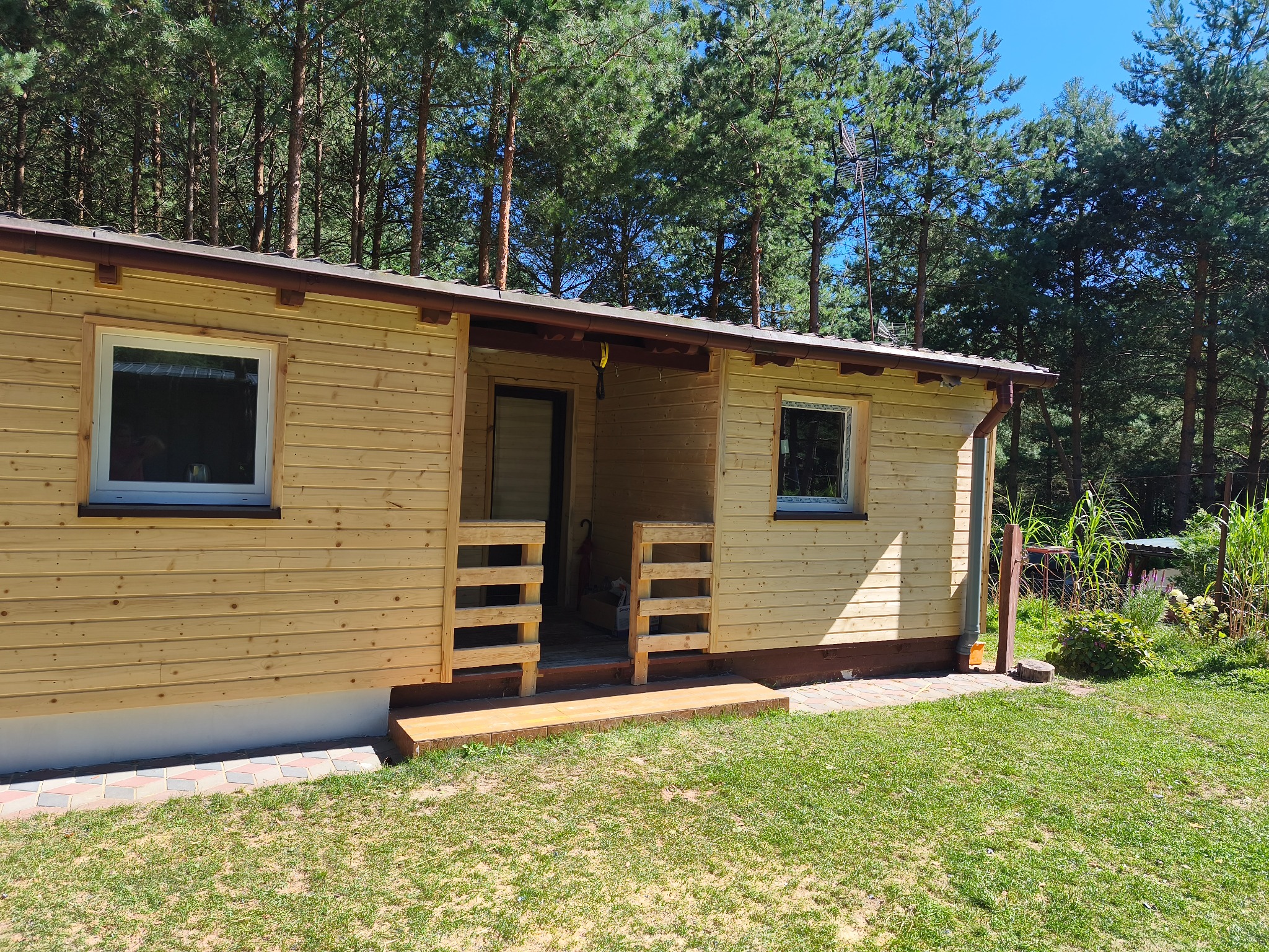 Drewniany domek letniskowy z jasną elewacją, widoczne okna z białymi ramami, zadaszone wejście. W tle wysokie drzewa iglaste i błękitne niebo. Ujęcie w słoneczny dzień.