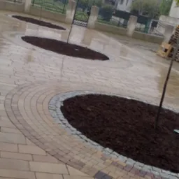 Ułożona kostka brukowa w kształcie łuków otaczających rabaty z ziemią pod drzewa. Widoczna różnorodność kolorów kostki i obrzeże z kostki granitowej. Na drugim planie dom i ogrodzenie.