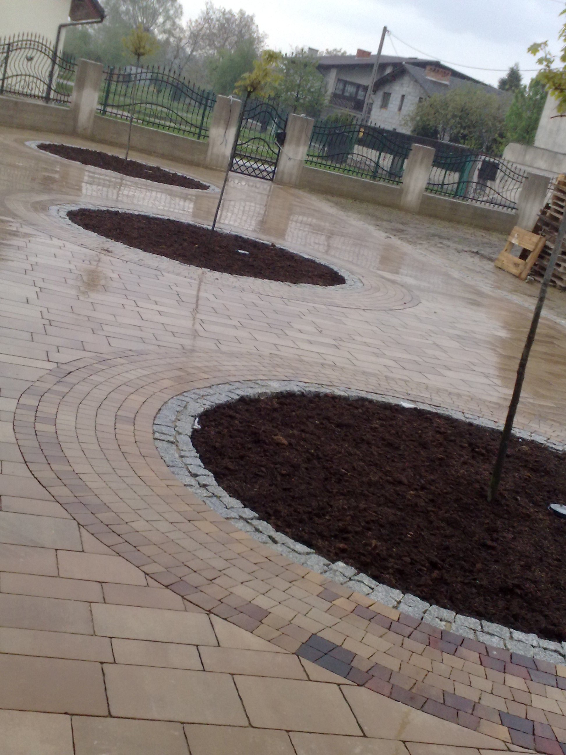 Ułożona kostka brukowa w kształcie łuków otaczających rabaty z ziemią pod drzewa. Widoczna różnorodność kolorów kostki i obrzeże z kostki granitowej. Na drugim planie dom i ogrodzenie.