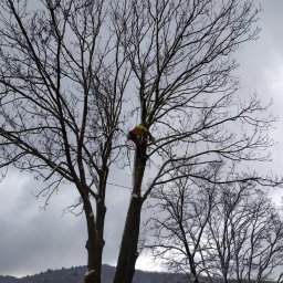 Prace działkowe Żywiec