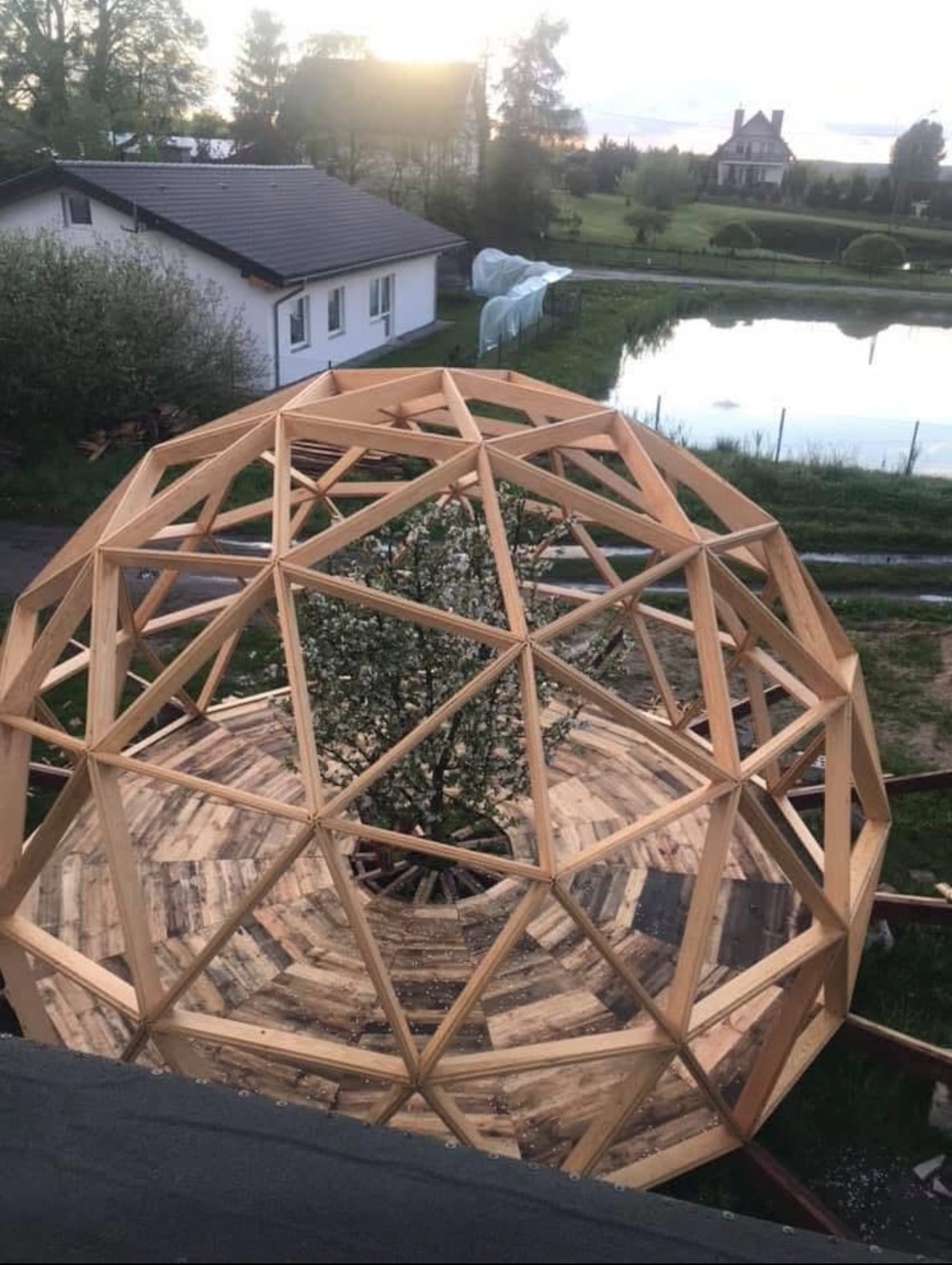 Drewniana konstrukcja kopuły geodezyjnej w ogrodzie, z drzewem wewnątrz. Widok z góry na geometryczny szkielet i posadzkę z desek, w tle domy i staw.