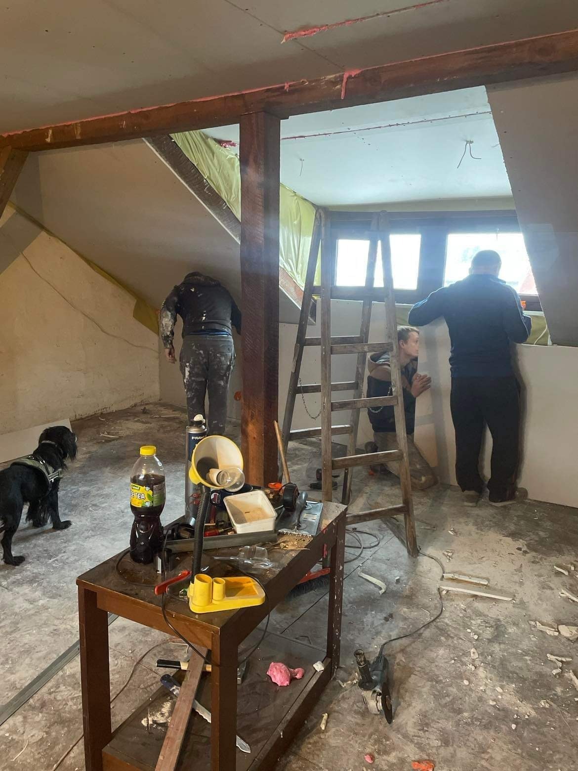 Montaż płyt karton-gips na poddaszu z drewnianą konstrukcją. Widoczny pies, drabina i narzędzia pracy w pomieszczeniu ze skosami.