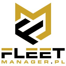 Zarządzanie flotą, audyt flotowy.