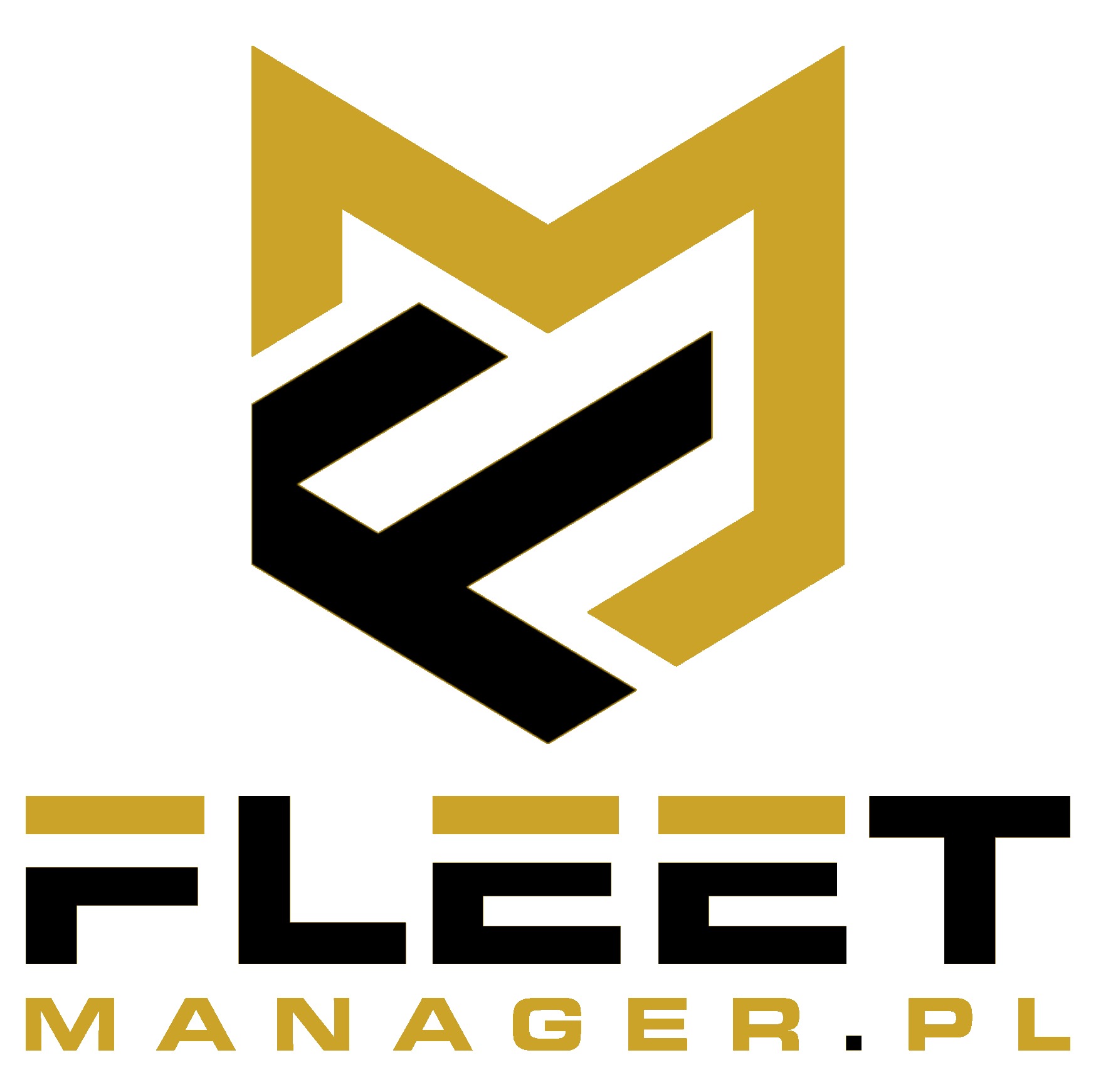 Zarządzanie flotą, audyt flotowy.