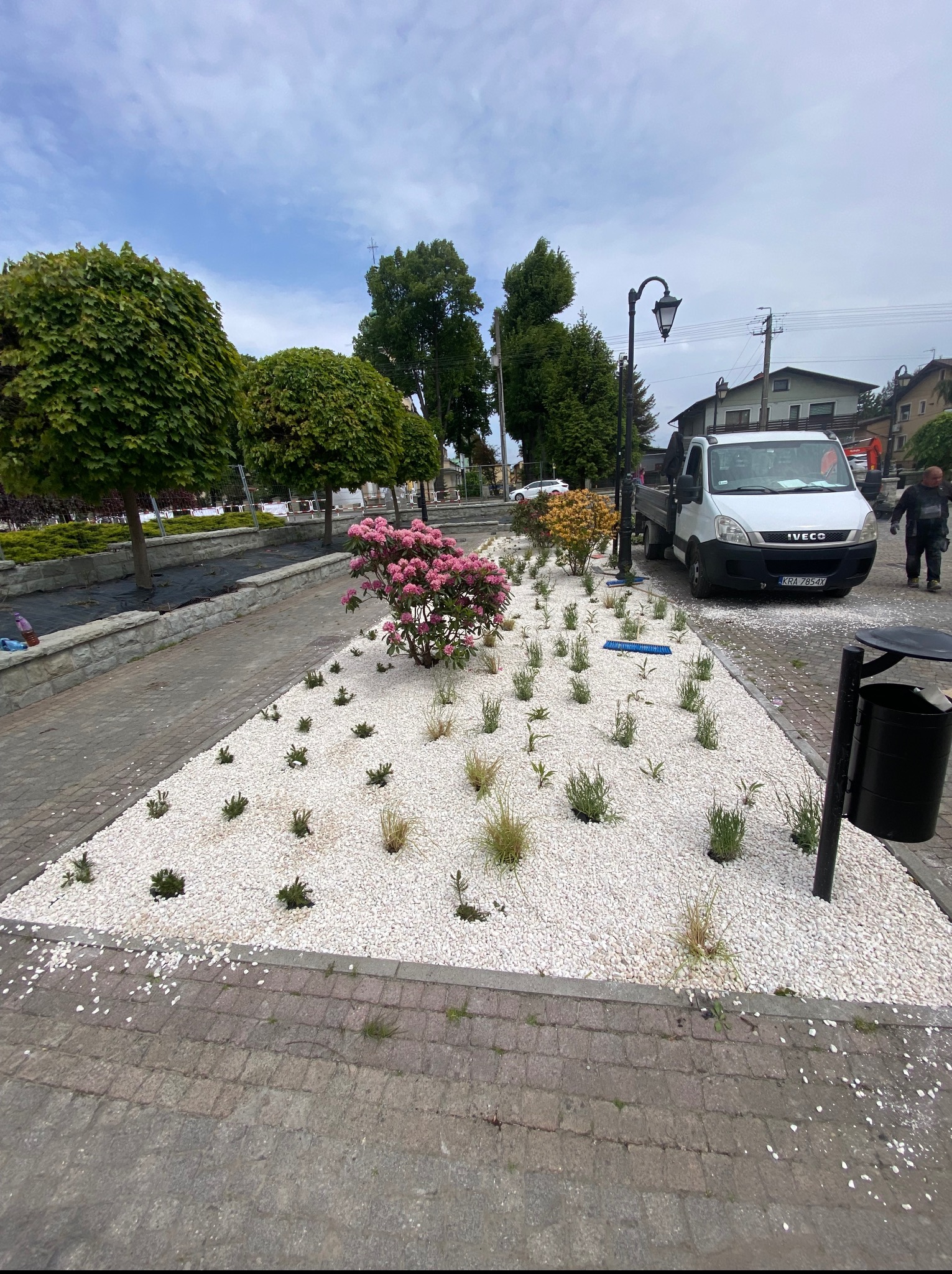 Kwadratowy klomb z białymi kamykami, niską roślinnością i różowym krzewem. W tle zaparkowany biały samochód dostawczy i latarnia uliczna.