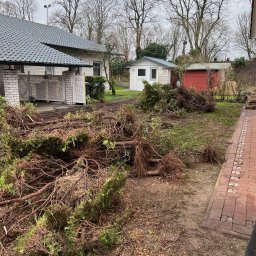 Wycinka drzew Jelcz-Laskowice 2