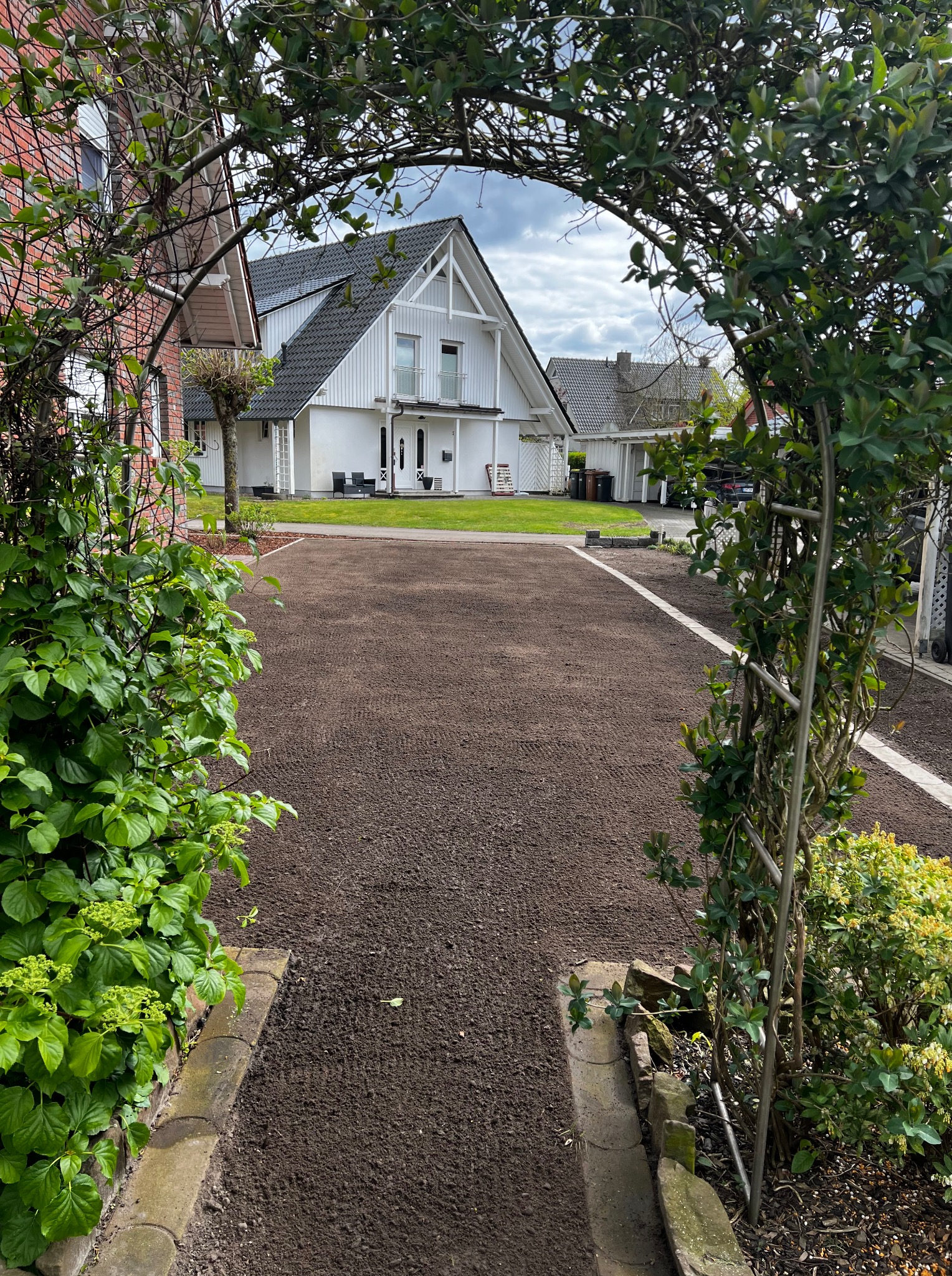 Przygotowana gleba pod trawnik, widok przez łuk z roślin w kierunku domu. Brązowa ziemia wyrównana, obrzeża z kamienia. Perspektywa ogrodu.