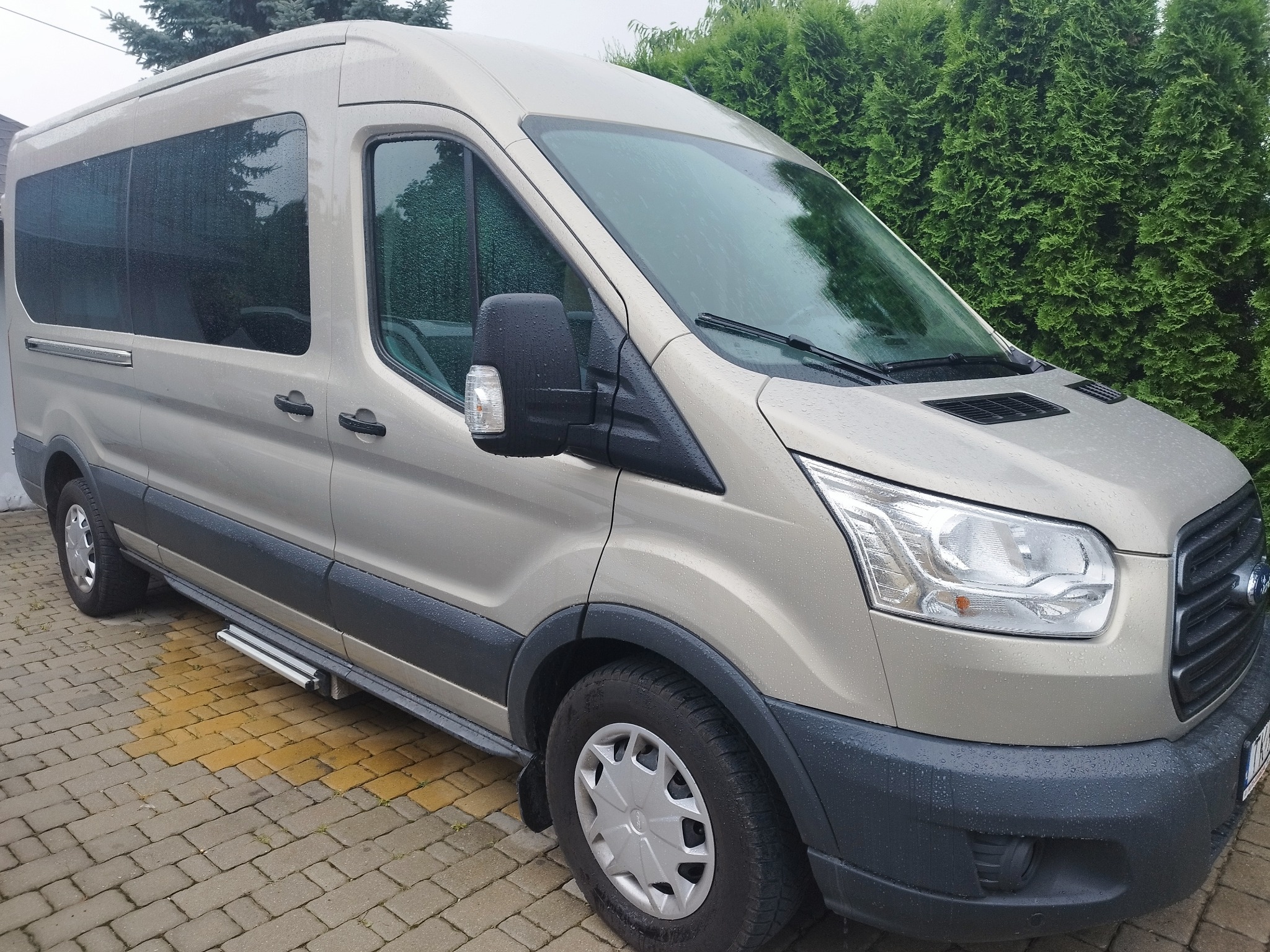 Szary bus Ford Transit z relingami na progu, zaparkowany na brukowanej nawierzchni, z widocznymi kroplami deszczu na karoserii i oknach.