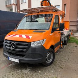 Wycinka drzew Koszalin 3