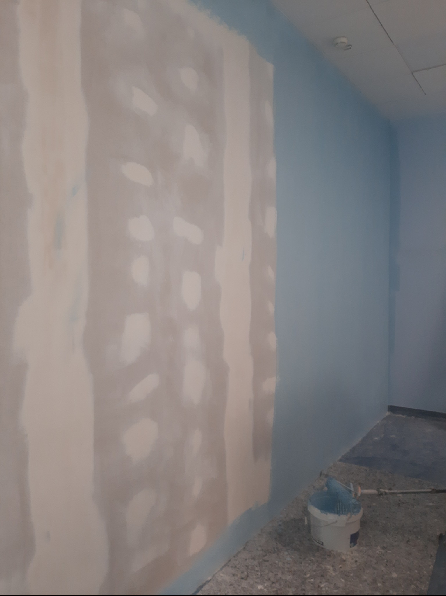 Ściana po szpachlowaniu z widocznymi łatami, częściowo pomalowana na niebiesko. Wiadro z farbą i wałek malarski na podłodze. Prace wykończeniowe w pomieszczeniu.