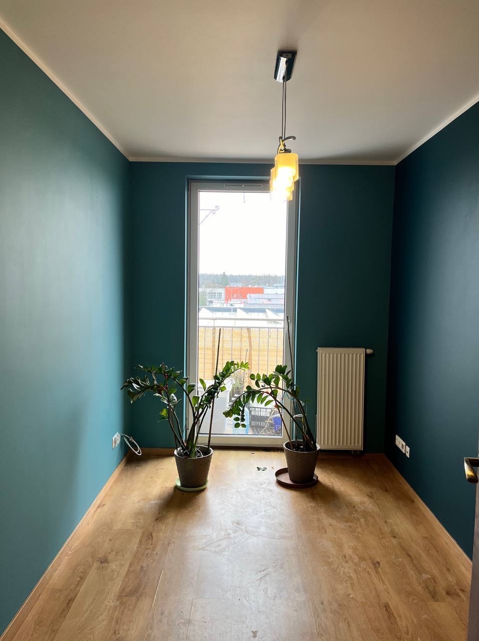 Pokój po malowaniu na ciemny turkus, z drewnianą podłogą, oknem i dwoma roślinami w doniczkach. Widoczny grzejnik i lampa sufitowa.