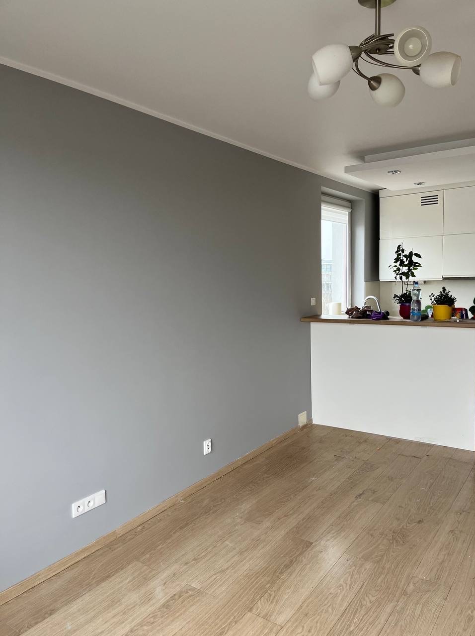 Świeżo pomalowane, szare ściany w jasnym wnętrzu z drewnianą podłogą. Widoczne gniazdka elektryczne i fragment kuchni z roślinami doniczkowymi. Oświetlenie sufitowe.
