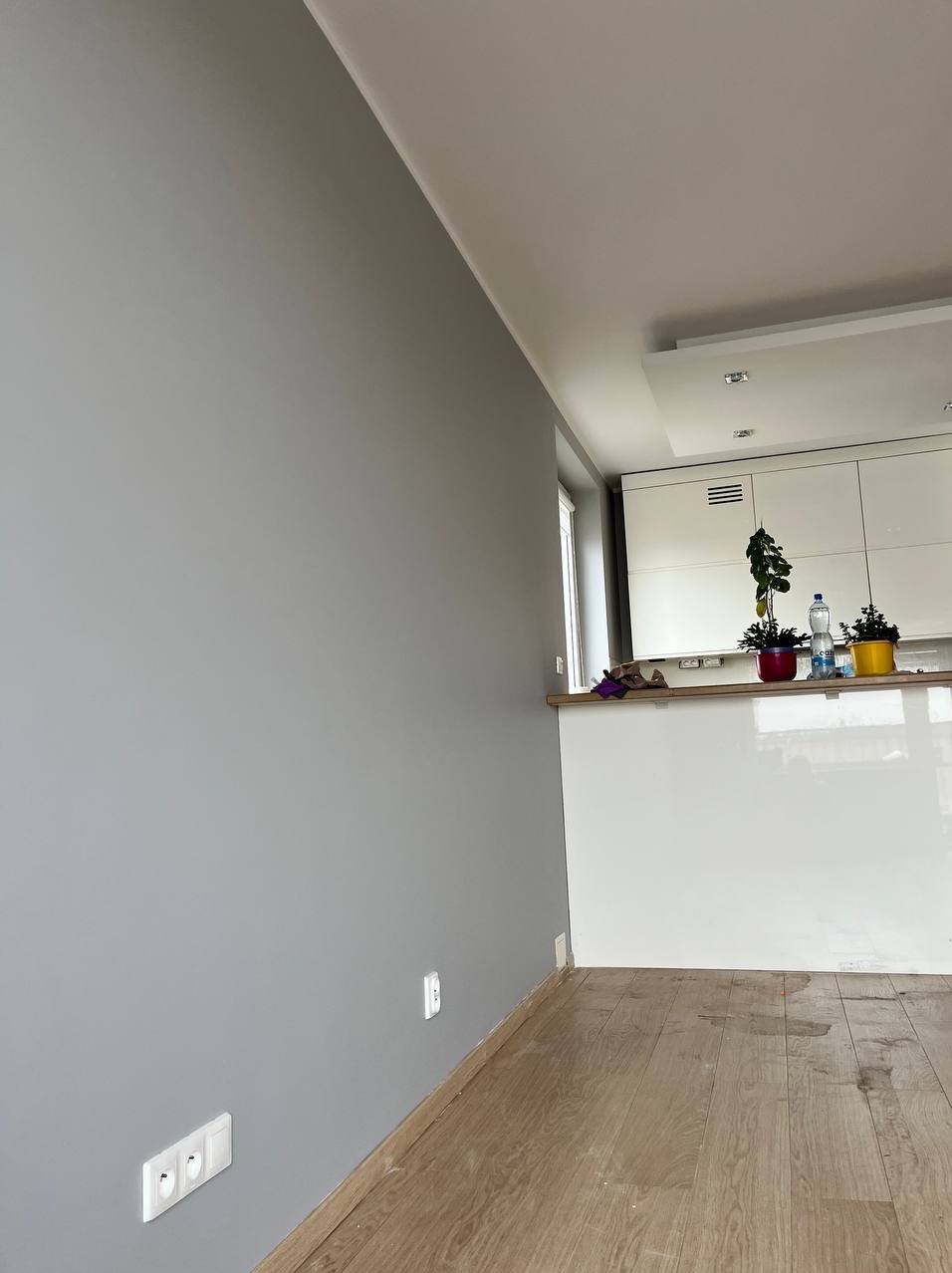 Szara ściana po malowaniu w nowoczesnym wnętrzu. Widoczne gniazdka elektryczne i drewniana podłoga. Minimalistyczna kuchnia w tle z roślinami doniczkowymi.