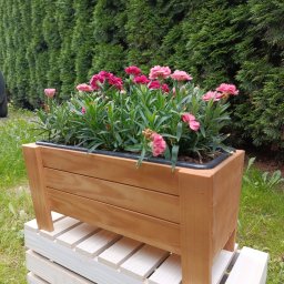 Stolarz Maków Podhalański 1