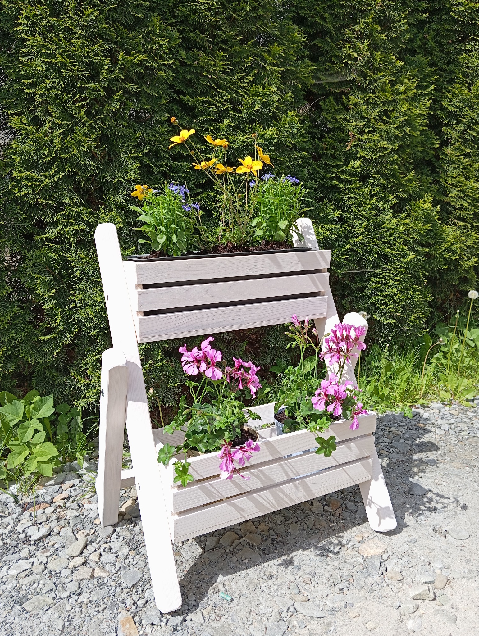 Drewniany, dwupoziomowy kwietnik w kolorze złamanej bieli, z różowymi i żółtymi kwiatami, ustawiony na żwirowym podłożu na tle zielonego żywopłotu.