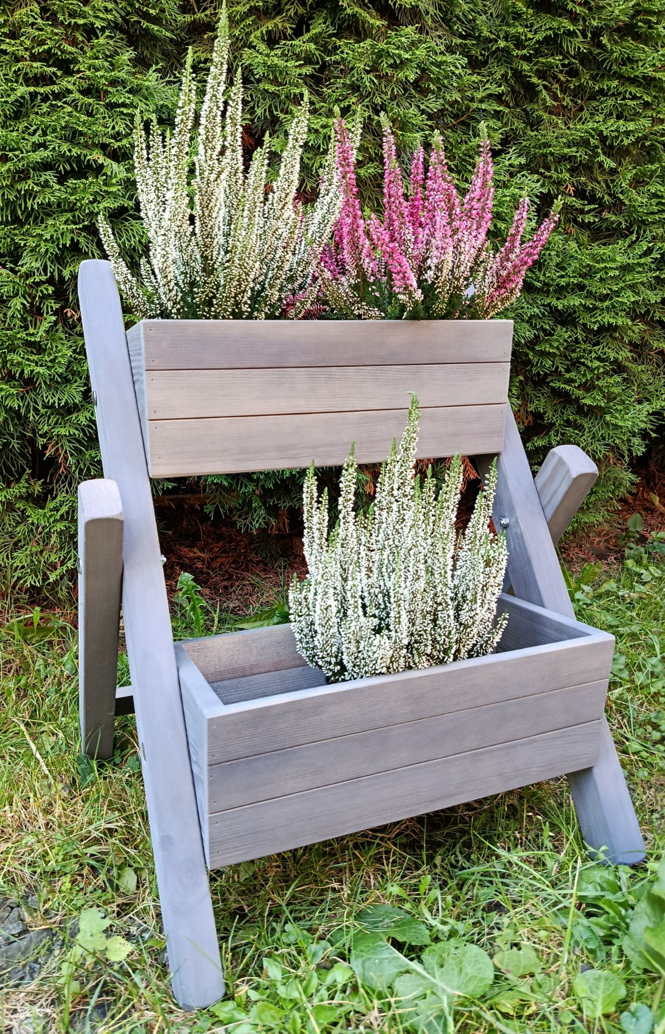 Drewniany kwietnik dwupoziomowy w szarym odcieniu, wypełniony wrzosami w kolorach białym i różowym, ustawiony na trawie przed zielonym żywopłotem.