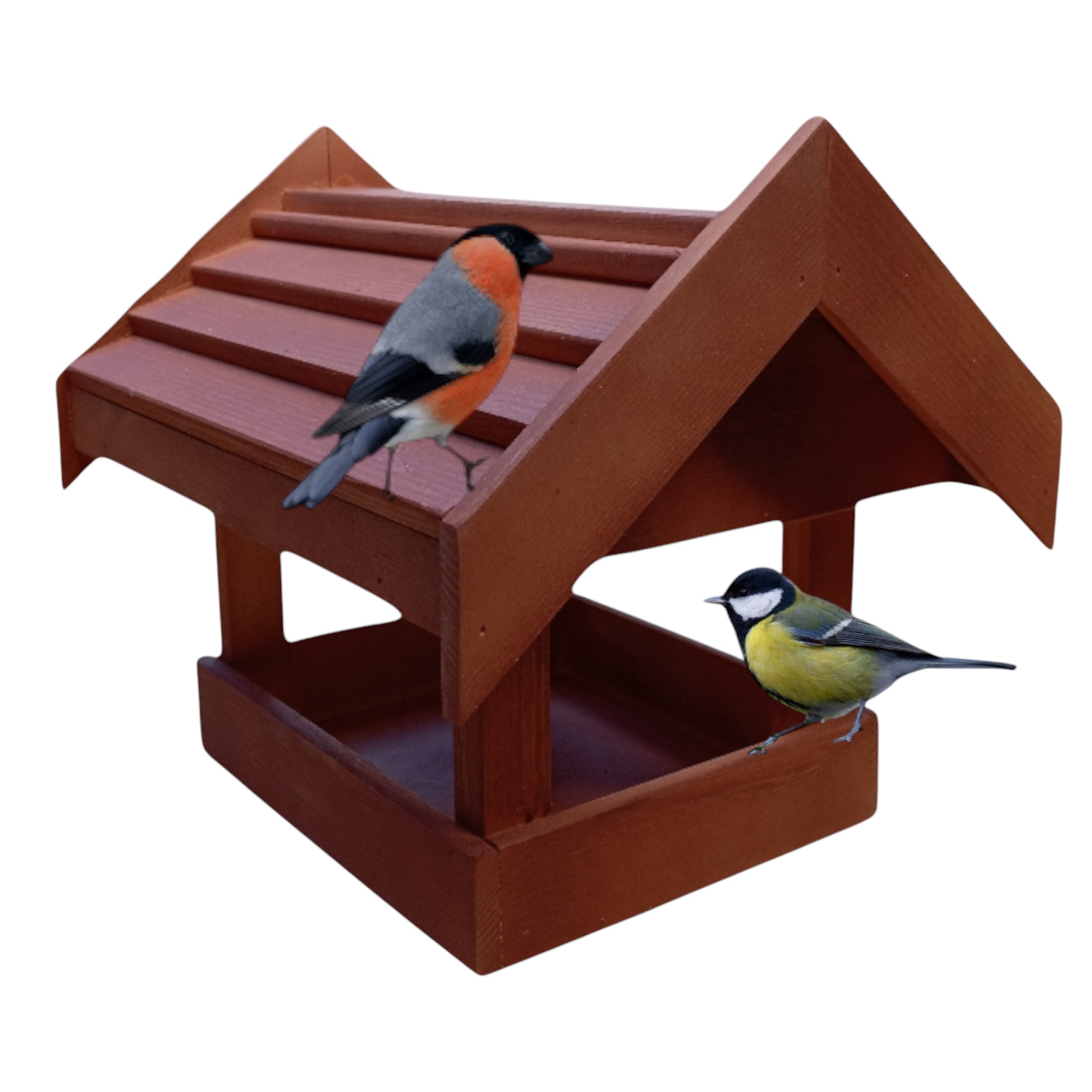 Drewniany karmnik dla ptaków z dwoma ptakami: gil na dachu i sikorka bogatka w karmniku. Widok z przodu, na białym tle.