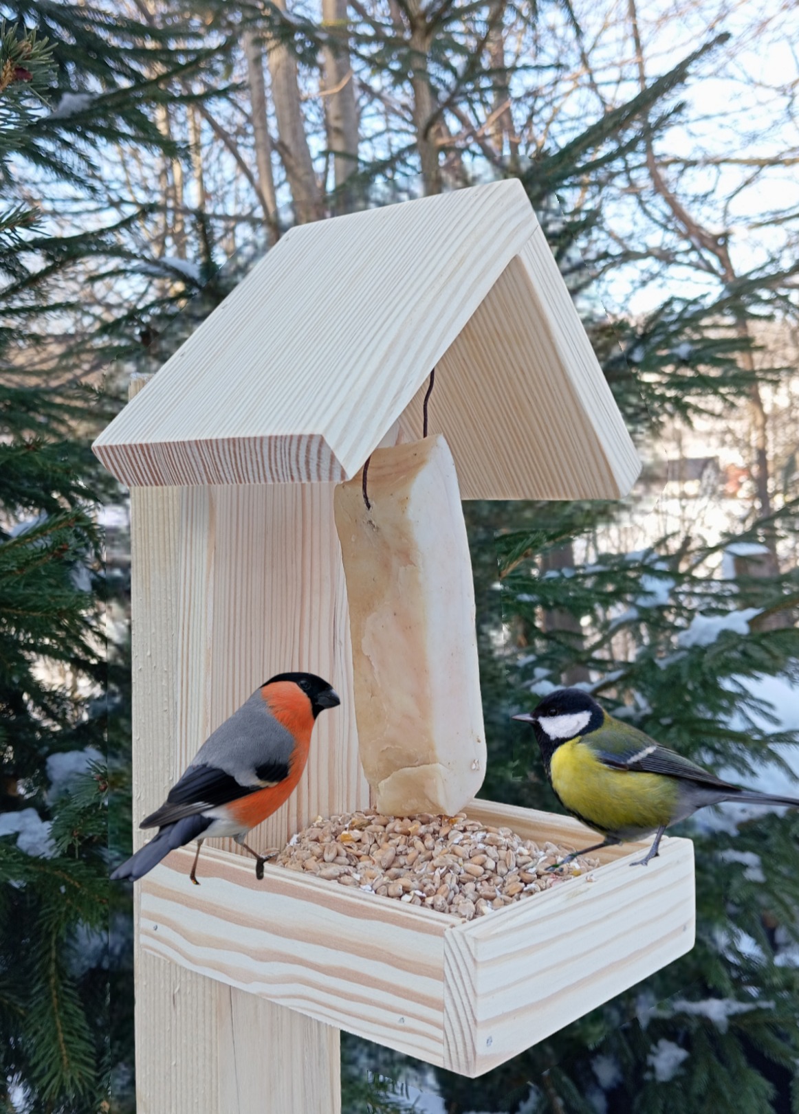 Drewniany karmnik dla ptaków z ziarnem, na którym siedzą dwa ptaki: gil i sikorka bogatka, na tle zimowego krajobrazu.