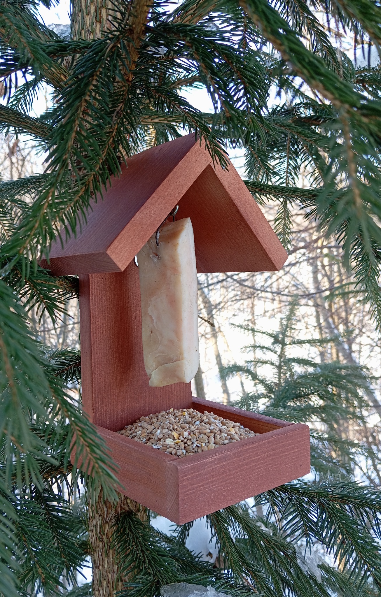 Drewniany karmnik dla ptaków w kolorze terakoty, zawieszony na gałęzi świerku, wypełniony ziarnem i słoniną. Zimowy krajobraz w tle.