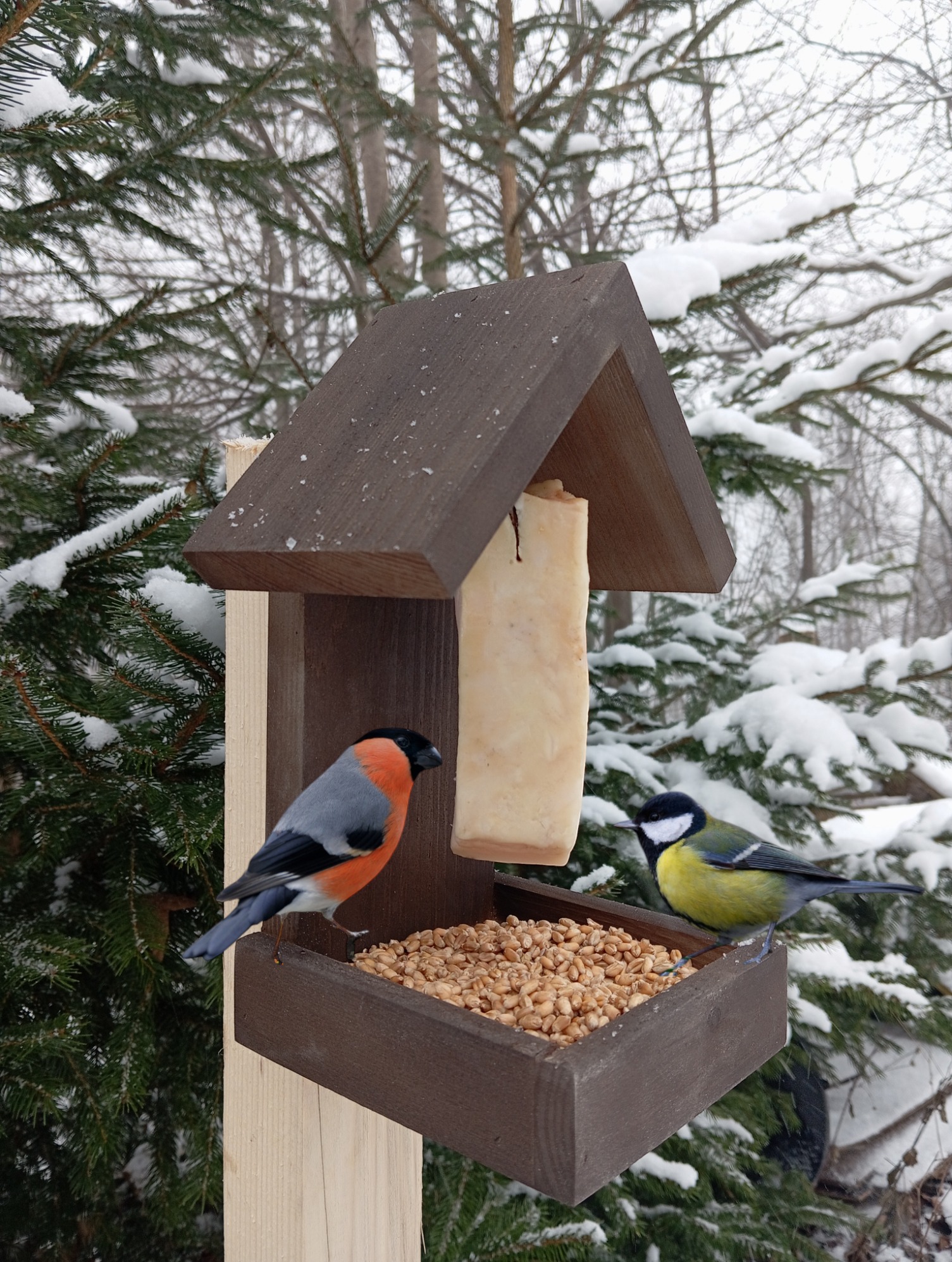 Drewniany karmnik dla ptaków w zimowej scenerii, z ziarnami i tłuszczem, odwiedzany przez sikorkę bogatkę i gila. Śnieg na gałęziach drzew w tle.