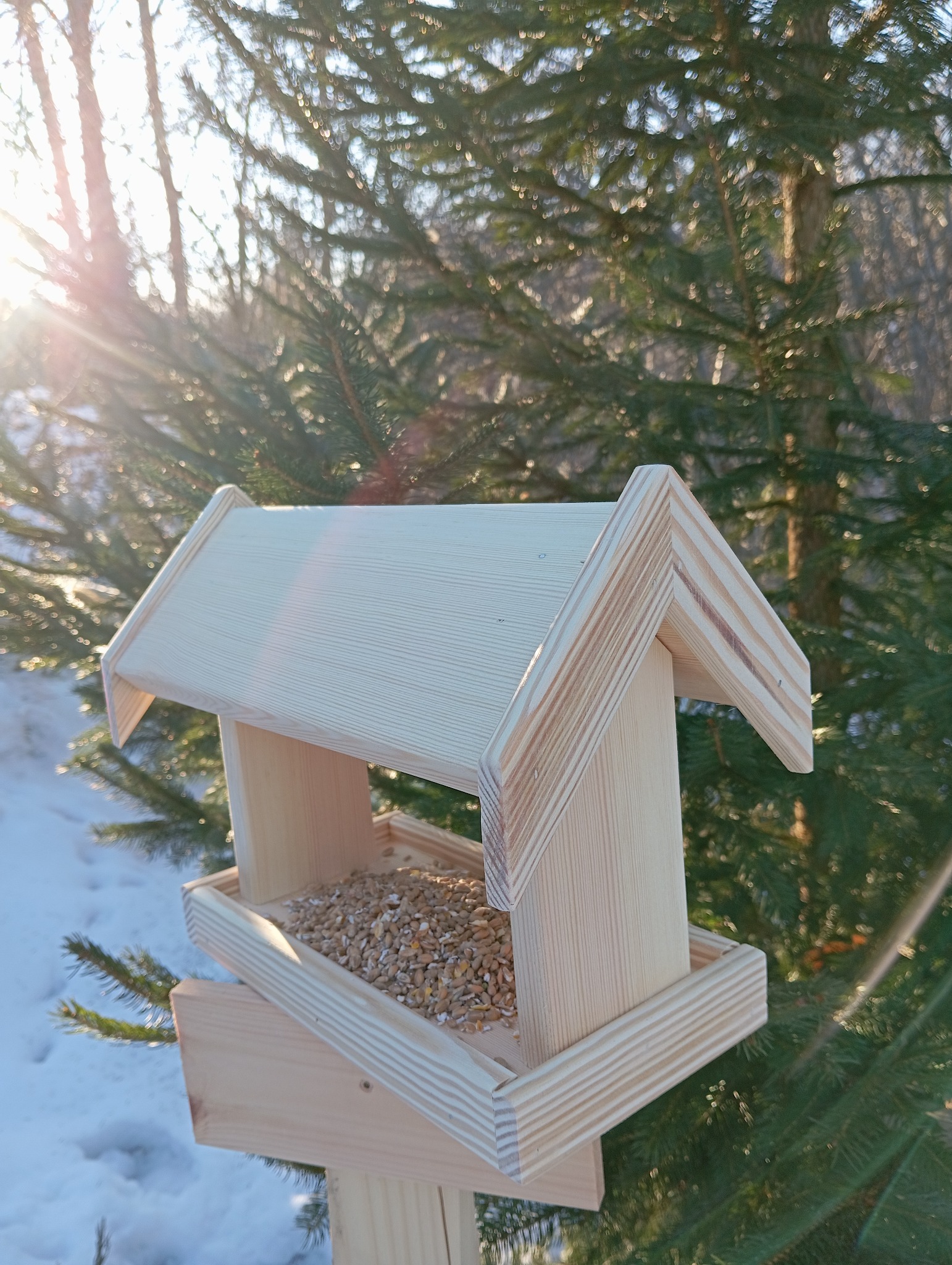 Drewniany karmnik dla ptaków, wypełniony ziarnem, umieszczony na tle iglastego drzewa w słoneczny dzień. Widoczne słońce prześwitujące przez gałęzie.