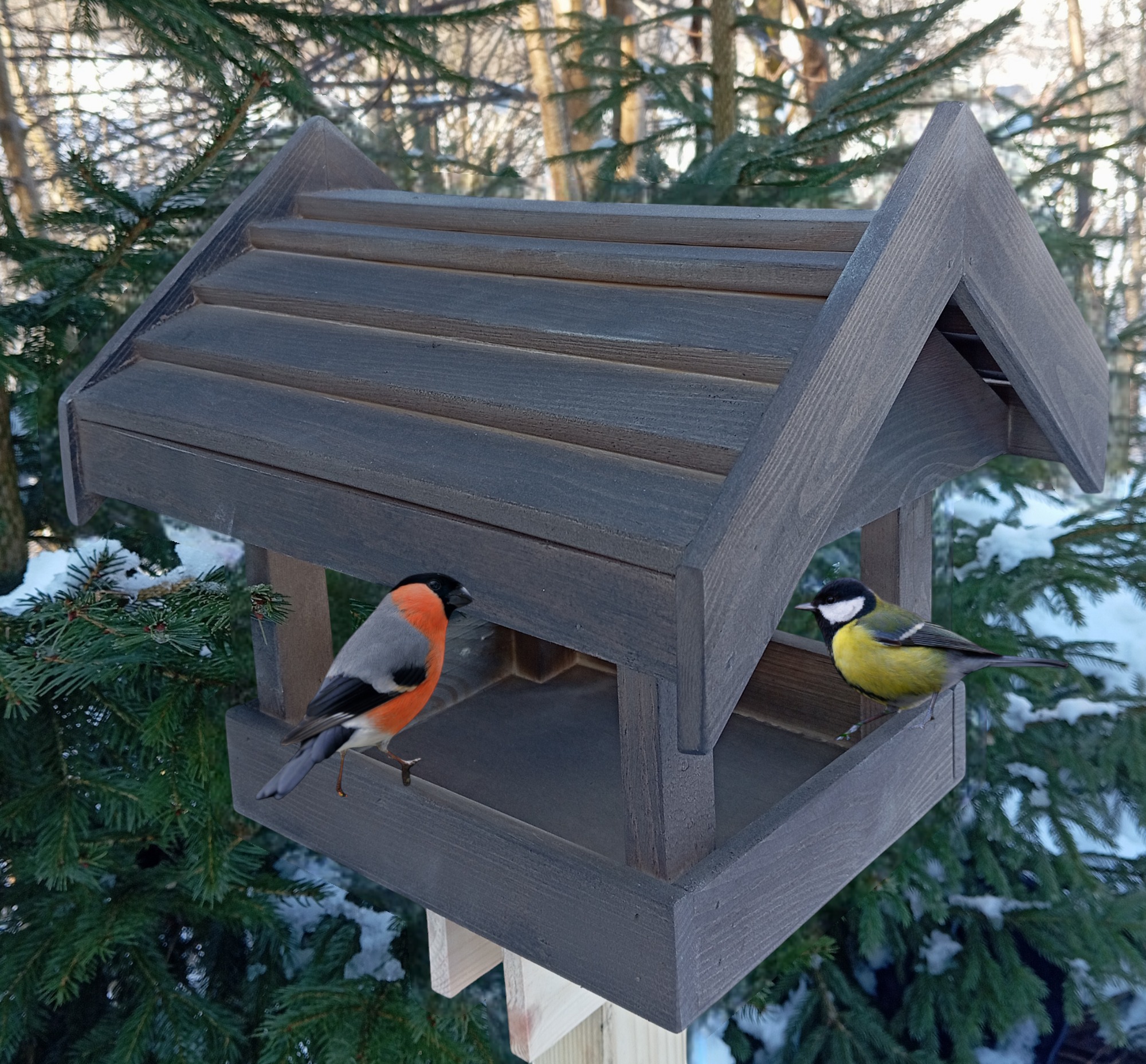 Drewniany karmnik dla ptaków w ogrodzie, z dwoma ptakami: sikorka bogatka i gil. Karmnik wykonany z szarego drewna, na tle zielonych gałęzi drzew iglastych.