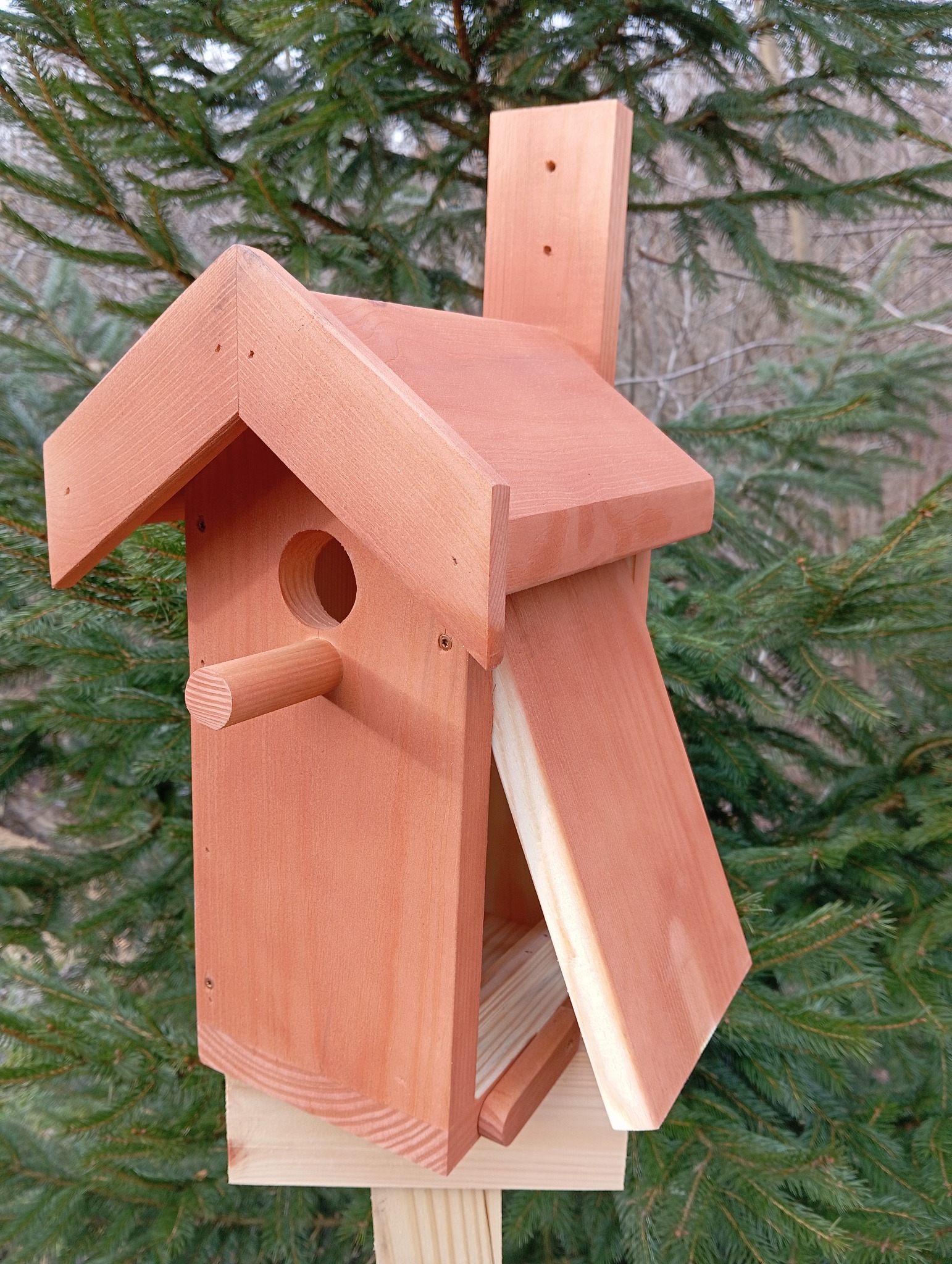 Drewniany, ręcznie robiony karmnik dla ptaków z okrągłym otworem i wystającym drążkiem, na tle zielonych gałęzi drzewa iglastego.