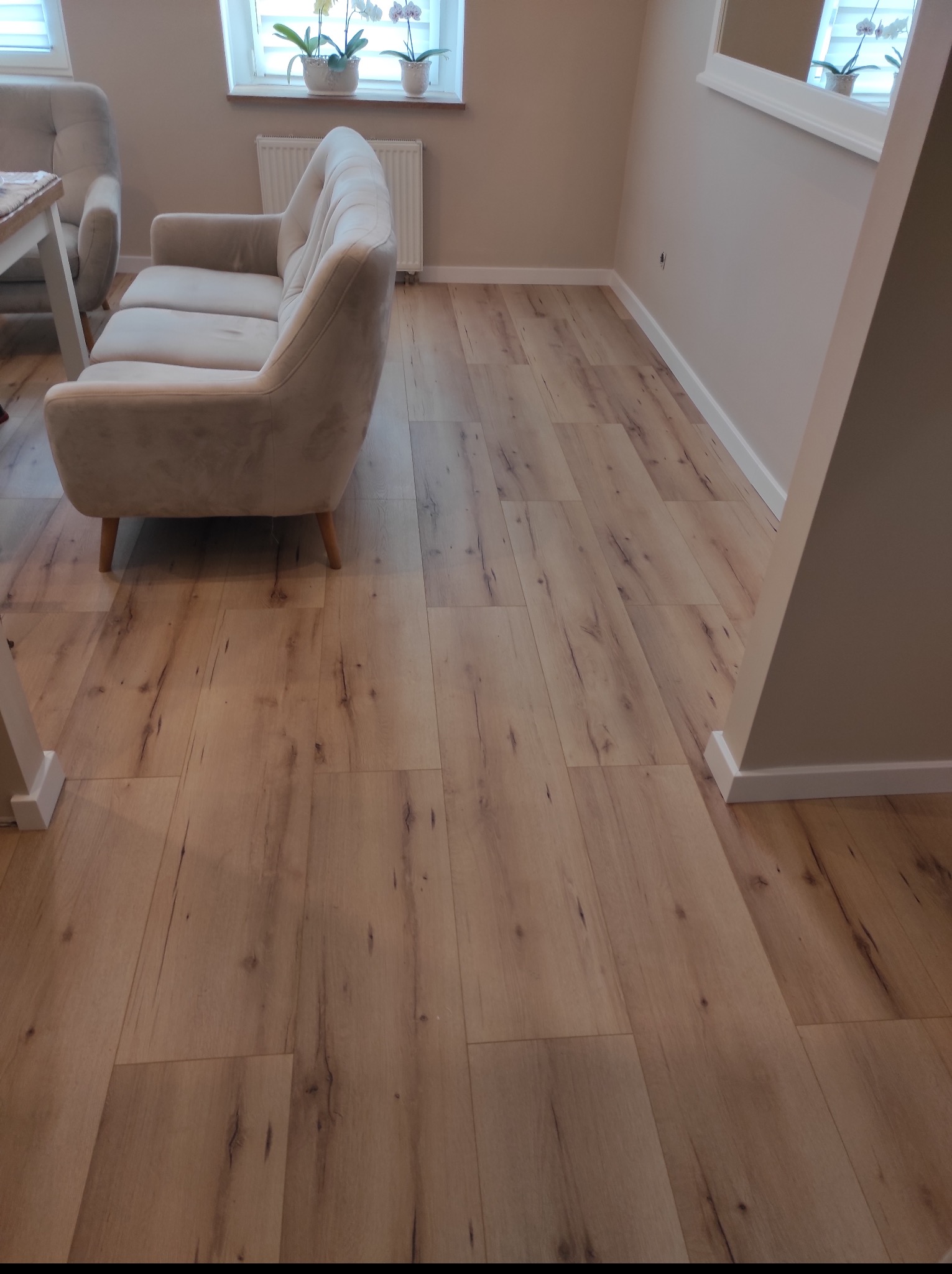 Jasne panele podłogowe z widoczną strukturą drewna w salonie z beżową sofą i białymi listwami przypodłogowymi. Minimalistyczne wykończenie wnętrza.