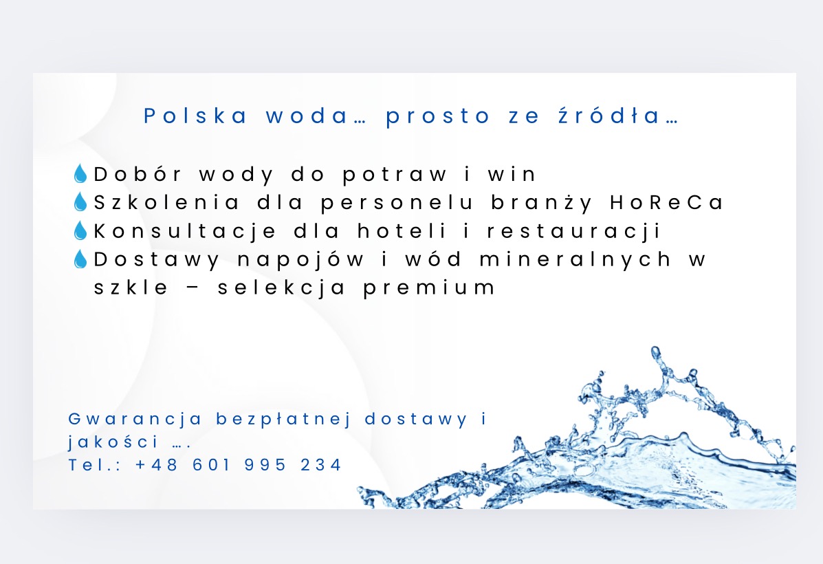 Wizytówka z ofertą doboru wody do potraw, szkoleń HoReCa, konsultacji dla hoteli i restauracji, dostaw napojów i wód mineralnych. Błękitna grafika wody.